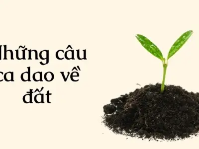 Những câu ca dao về đất hay phản chiếu tâm hồn người Việt