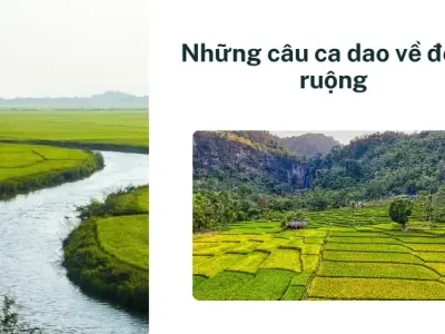 Những câu ca dao về đồng ruộng hay và mùa gặt bội thu