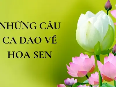 Ca dao về hoa sen và giá trị đạo đức truyền thống của người Việt