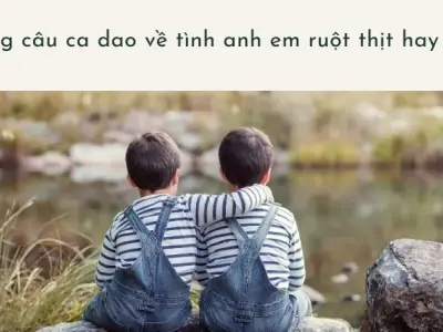 Ca dao về tình anh em ruột thịt đầy cảm động và sâu sắc