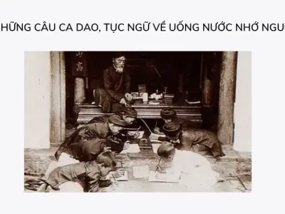 Những câu ca dao về uống nước nhớ nguồn nên dạy trẻ em