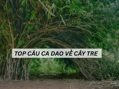 Những câu ca dao về cây tre thể hiện tinh thần dân tộc Việt