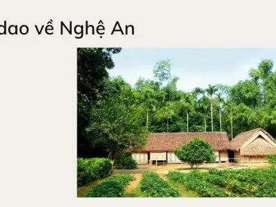 Khám phá những câu ca dao về Nghệ An ngọt ngào và sâu lắng