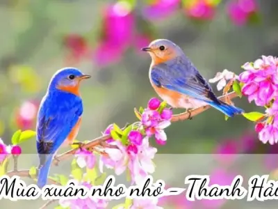 Bài thơ Mùa xuân nho nhỏ (Thanh Hải) - Phân tích tác giả tác phẩm