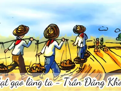 Bài thơ Hạt gạo làng ta (Trần Đăng Khoa) - Phân tích tác giả tác phẩm
