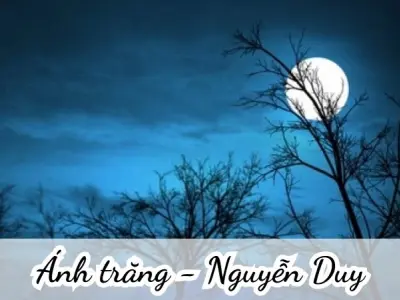Bài thơ Ánh trăng (Nguyễn Duy) - Phân tích tác giả tác phẩm