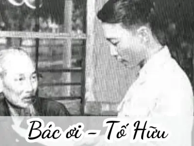 Bài thơ Bác ơi (Tố Hữu) - Phân tích tác giả tác phẩm
