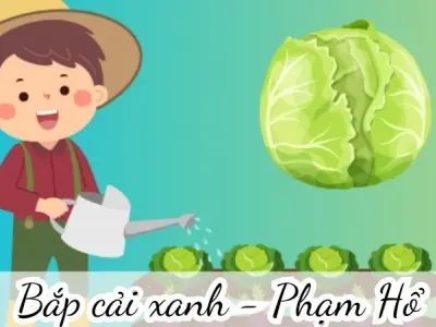 Bài thơ Bắp cải xanh (Phạm Hổ) - Chủ đề thơ trường mầm non