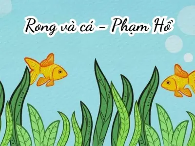 Bài thơ Rong và cá (Phạm Hổ) - Chủ đề thơ trường mầm non