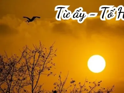 Bài thơ Từ ấy (Tố Hữu) - Phân tích tác giả tác phẩm