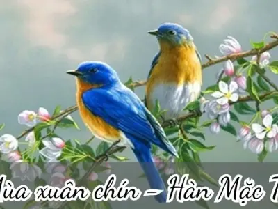 Bài thơ Mùa xuân chín (Hàn Mặc Tử) - Phân tích tác giả tác phẩm