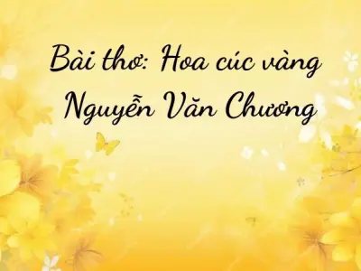 Bài thơ Hoa cúc vàng (Nguyễn Văn Chương) - Chủ đề thơ trường mầm non