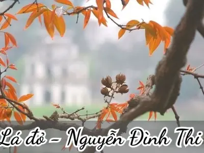 Bài thơ Lá đỏ (Nguyễn Đình Thi) - Phân tích tác giả tác phẩm