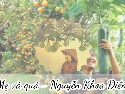 Bài thơ Mẹ và quả (Nguyễn Khoa Điềm) - Phân tích tác giả tác phẩm