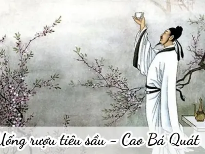 Tổng hợp 2 bài thơ “Uống rượu tiêu sầu” của Cao Bá Quát