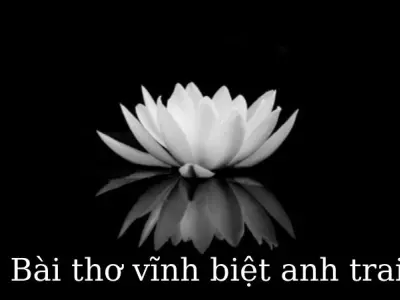 Tuyển tập bài thơ vĩnh biệt anh trai lay động lòng người