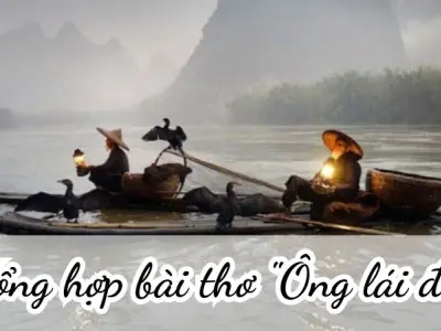Tổng hợp bài thơ "Ông lái đò" và người lái đò bền bỉ