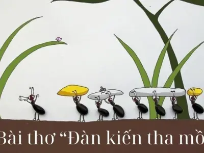Bài thơ Đàn kiến tha mồi - Chủ đề thơ trường mầm non