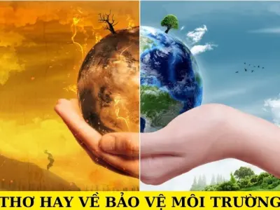 Bài thơ ý nghĩa về môi trường và hành tinh xanh