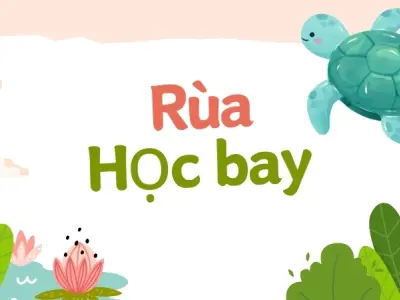 Tóm tắt truyện Rùa học bay ngắn gọn, dễ nhớ cho học sinh