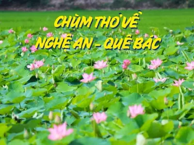 Thơ về Nghệ An - Miền ký ức đậm đà giọng nói xứ Nghệ
