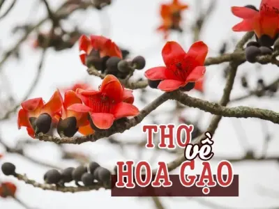 Hoa gạo trong thơ - Sắc đỏ rực rỡ của mùa tháng Ba