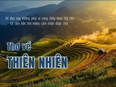 Thơ hay về thiên nhiên - Nét đẹp nhẹ nhàng, sâu lắng