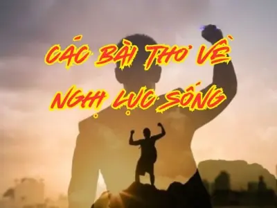 Tuyển tập bài thơ về nghị lực sống đầy cảm hứng