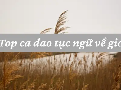 Khám phá ý nghĩa sâu sắc của ca dao tục ngữ về gió
