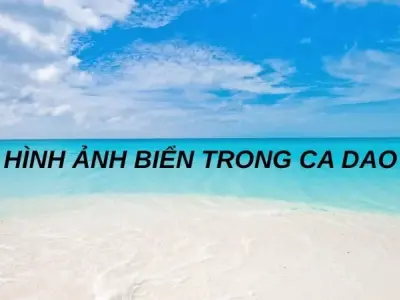 Những câu ca dao về biển hay nhất gợi nhớ tình quê sâu lắng