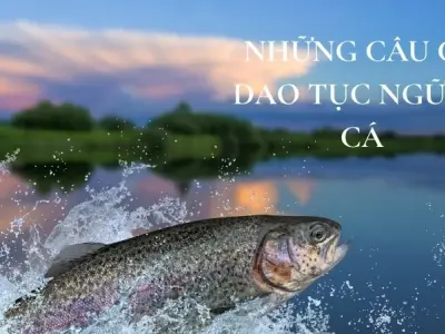 Những bài ca dao về cá trong kho tàng văn học dân gian Việt Nam
