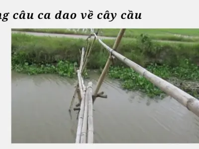 Những câu ca dao về cây cầu hay gợi nhớ quê hương