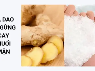 Ý nghĩa sâu xa trong ca dao về gừng cay muối mặn bạn nên biết