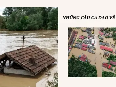 Top câu ca dao về lũ lụt phản ánh đời sống người xưa