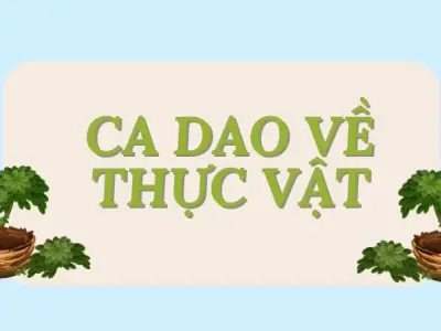 Ca dao về thực vật và sự gắn bó của người Việt với thiên nhiên