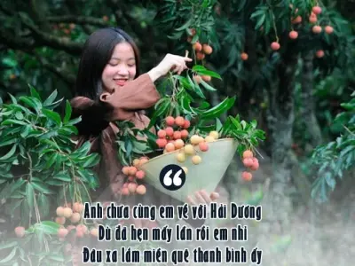 Chùm thơ về Hải Dương chan chứa tình quê hương sâu sắc