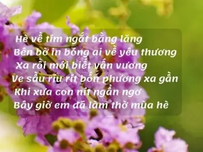 Chùm thơ hoa bằng lăng đong đầy kỷ niệm thân thương