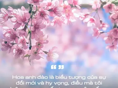 Hoa anh đào trong thơ - Vẻ đẹp mong manh và thuần khiết