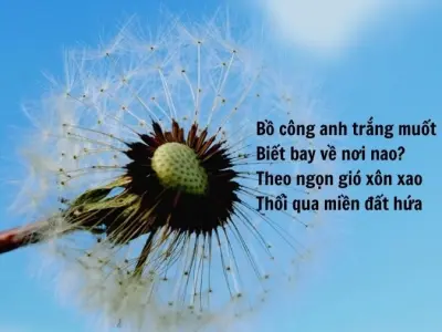 Những bài thơ hay viết về bồ công anh bay trong gió