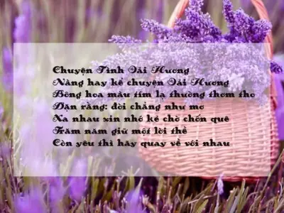 Thơ về hoa oải hương - Biểu tượng tình yêu thủy chung