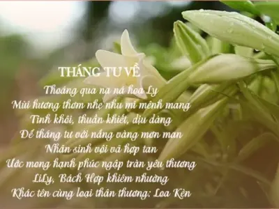 Thơ về hoa loa kèn tháng tư dịu dàng và tinh khôi
