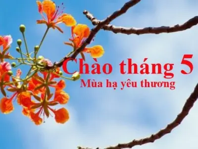 Những bài thơ nhẹ nhàng về tháng 5 dịu dàng và tha thiết