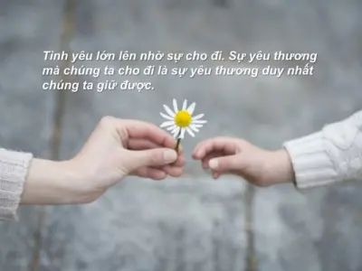 Thơ tình yêu thương con người lan toả sự tử tế và bao dung