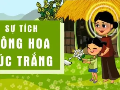 Tóm tắt truyện sự tích hoa cúc trắng hay nhất, ý nghĩa