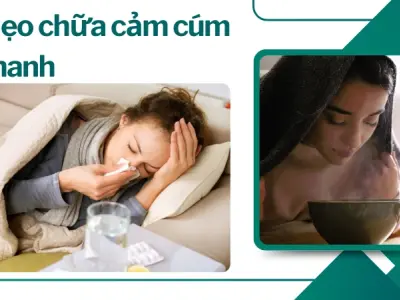 Mẹo trị cảm cúm nhanh chóng tại nhà hiệu quả ngay hôm nay