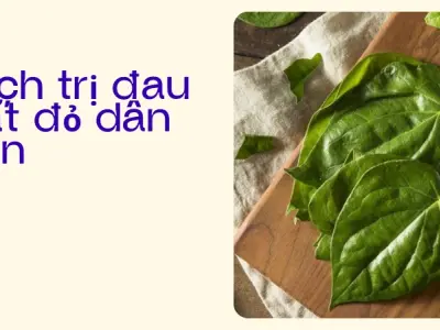 Bí quyết điều trị và phòng ngừa đau mắt đỏ hiệu quả tại nhà