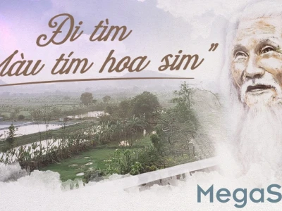 Bài thơ Màu Tím Hoa Sim: Biểu tượng vĩnh cửu của tình yêu và mất mát