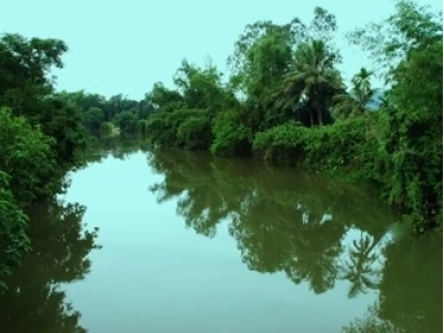 Bài thơ Nhớ con sông quê hương của Giang Nam: Vẻ đẹp và ý nghĩa
