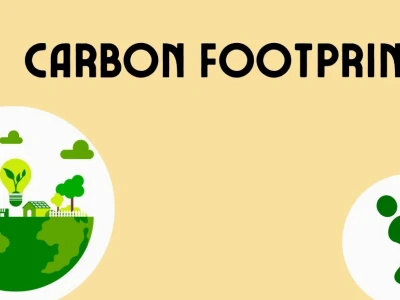 Environmental Footprint là gì? Phân tích chi tiết và cách giảm thiểu