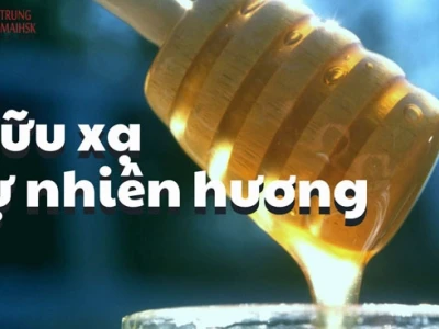 Hữu xạ tự nhiên hương nghĩa là gì? Khám phá sâu sắc ý nghĩa và cách ứng dụng